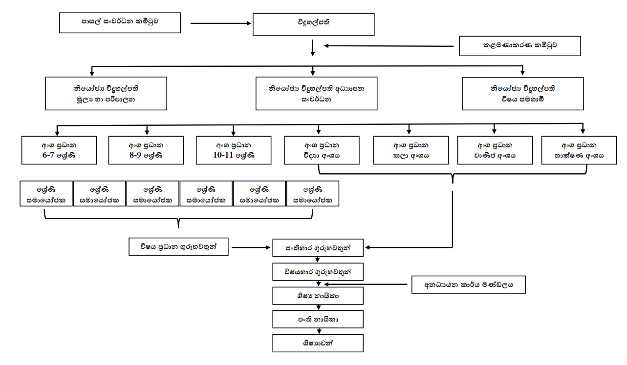 Administration Hierarchy